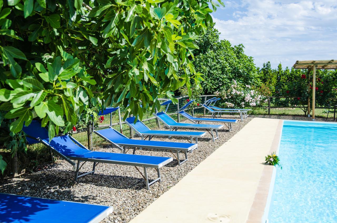 Agriturismo Il Roseto Marina di Grosseto Exterior photo